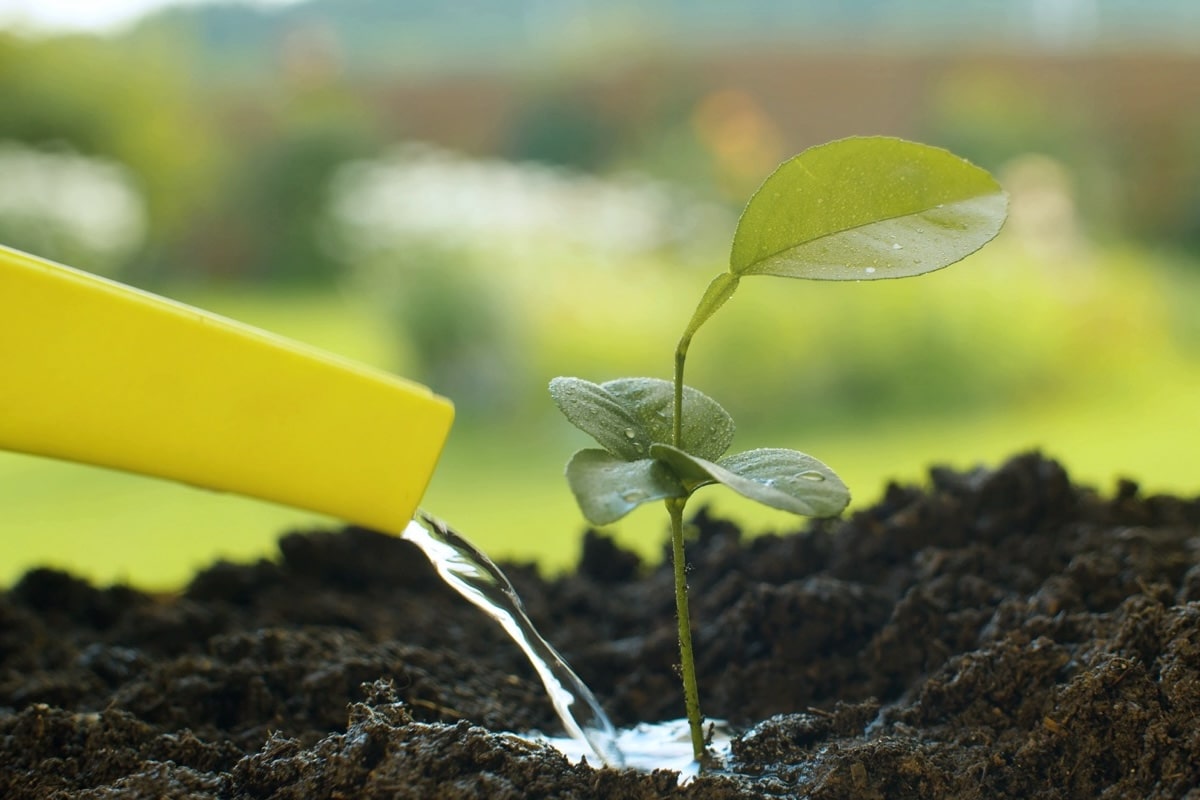 Temasek-Backed Agritech Rize Raises $14M Series A Funding